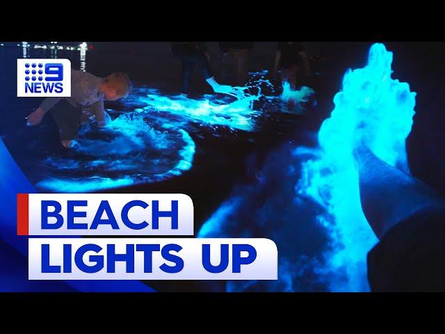 Beach glows as bioluminescent algae shows up in SA | 9 News Australia