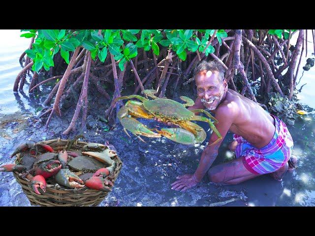 MONSTER CRABS HUNTING |  பெரிய கலி நண்டு வேட்டை | Cooking Spicy Crabs Gravy |Village Grandpa