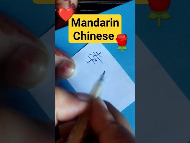 Learn Chinese 教室 #notramaiyavastavaiya#jawansong#chinese#mandarin#learnchinese#srk#nayanthara#hindi