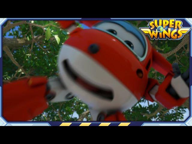 [SUPERWINGS S1] Feathered Friends and more | Superwings | Super Wings | S1 Compilation EP22~24