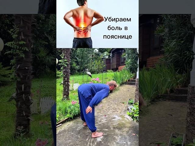 Отличное упражнение от боли в пояснице и в коленях #зож #упражнения #здоровье