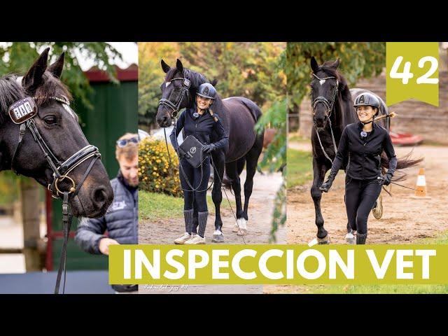  Inspección Veterinaria en Campeonatos: ¿Qué se Revisa y Por Qué?🩺‍️