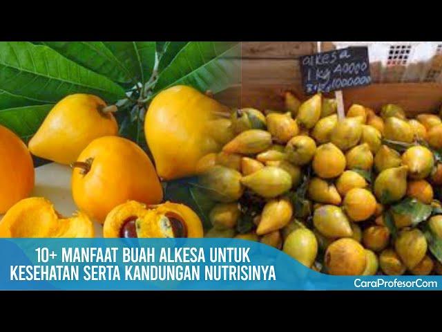 10+ Manfaat buah alkesa untuk kesehatan serta kandungan nutrisinya