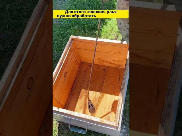 Готовим улья для пчёл #одинденьиз #пчеловодство #пчёлы #bee #жизньвдеревне #натуральныймёд #мёд