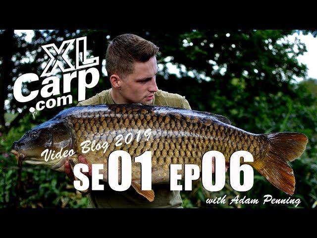 FRYERNING FISHERIES VIDEO BLOG EP 6 MAY/JUNE 2019 WITH ADAM PENNING