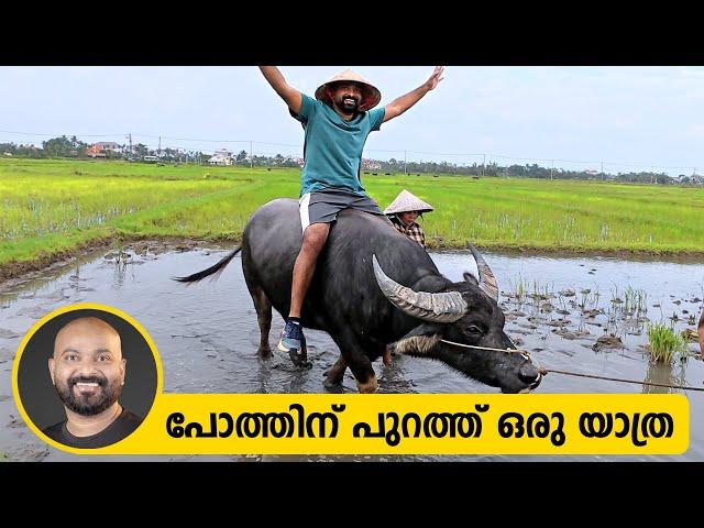 പോത്തിന് പുറത്ത് ഒരു യാത്ര | Exploring Hoi An, Vietnam | Ancient City, Paddy Fields & Buffalo Ride