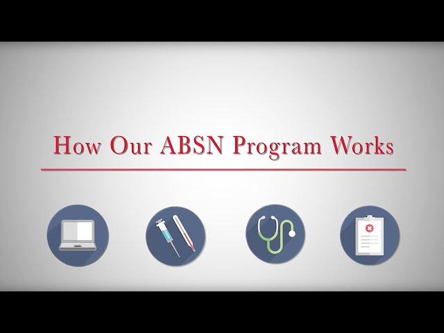 How the Northeastern ABSN Program Works