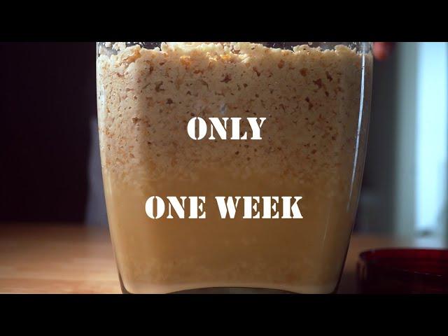How to make rice wine(makgeolli) in a week! Easy