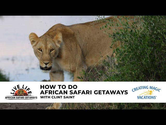 Virtual Travel Night featuring Live Life African Safaris with Clint Saint