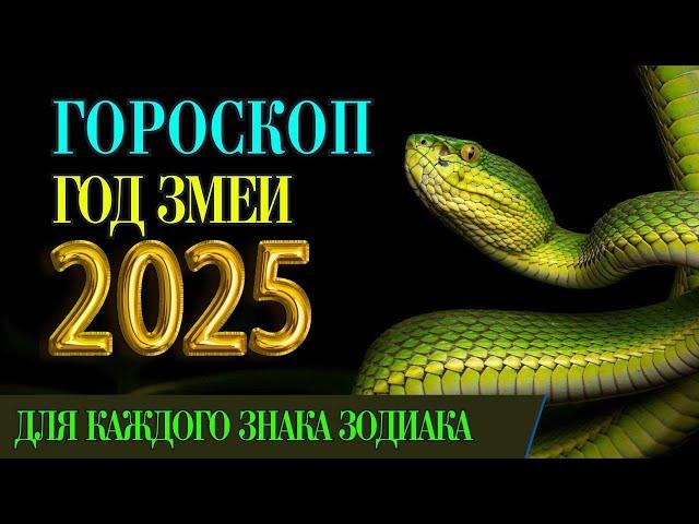 ГОРОСКОП НА 2025 ГОД ДЛЯ КАЖДОГО ЗНАКА ЗОДИАКА!  2025 год змеи гороскоп на год