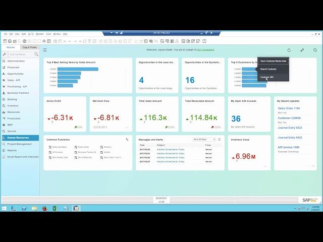 SAP Business One Demo