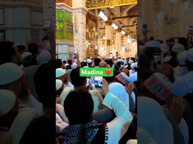 Madina Tyyaba | Madina Munawwara | #madina #makkah #travel #vlog #saudiarabia #duet #follow #hajj