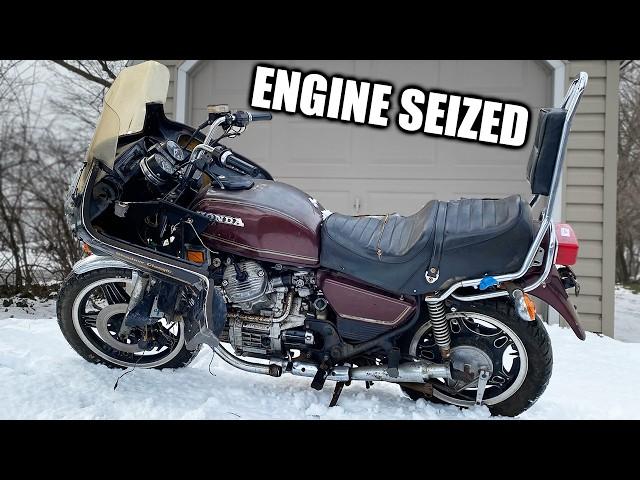 Engine Seized! Can I Get This Cult Classic Honda Running?