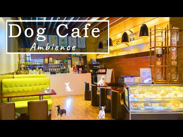 Dog Coffee Shop Ambience & Jazz Music - Cafe Music,Dog Sound,Relax Cafe ASMR - Relaxation,Study,Work