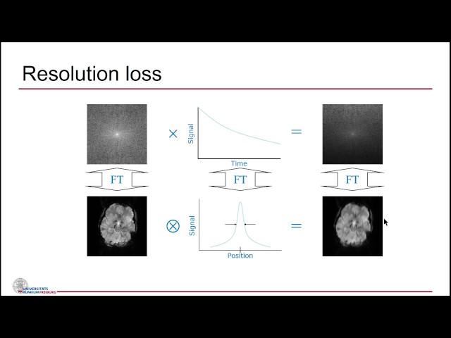 Maxim Zaitsev: EPI Artifacts