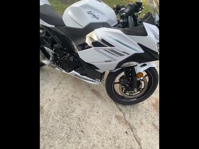 2023 Kawasaki Ninja 400 Pearl Blizzard White