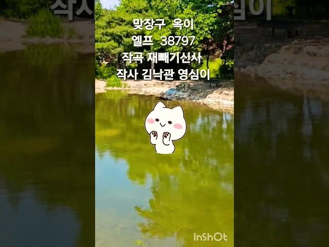 #맞장구 #옥이 작곡#재빼기신사  작사#김낙관#영심이 #가수옥이tv구독좋아요