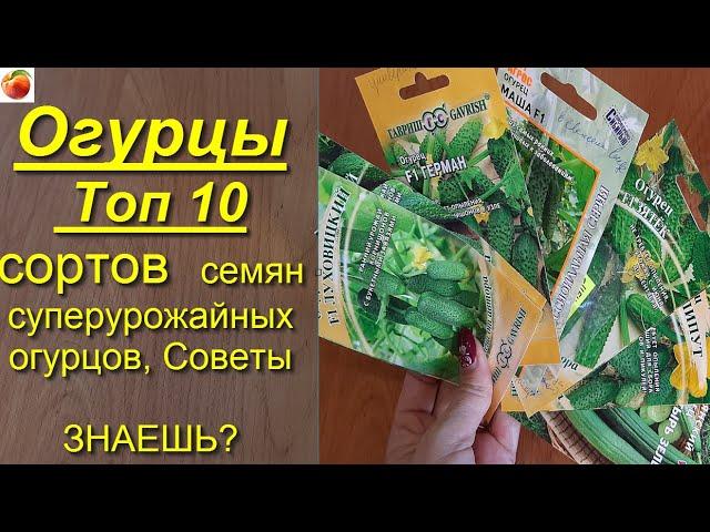 Огурцы топ 10 cортов  семян Cуперурожайные огурцы