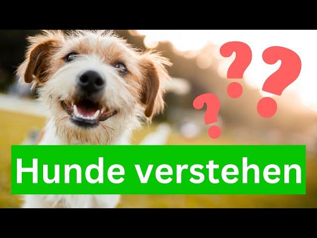 Hunde verstehen  Die Sprache der Hunde - Kennst du sie?