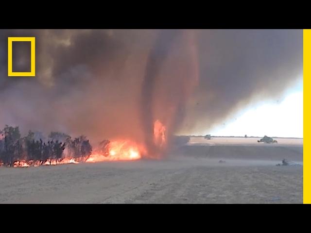 WATCH: Fire Tornado Captured in Rare Video | National Geographic