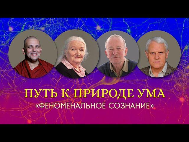 Феноменальное сознание. Путь к природе ума