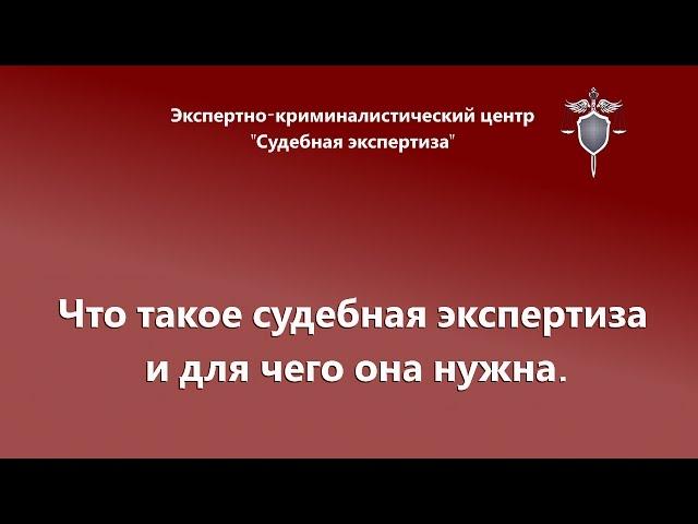 Что такое экспертиза.