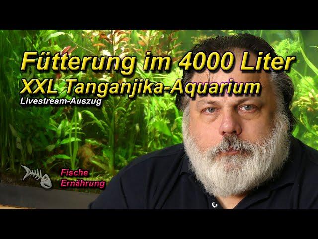 Skottki Markus füttert sein 4000 LITER XXL TANGANJIKA-AQUARIUM und ein wenig Fachsimpelei