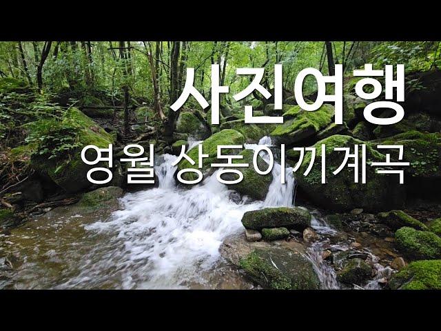 영월/이끼계곡/상동이끼계곡