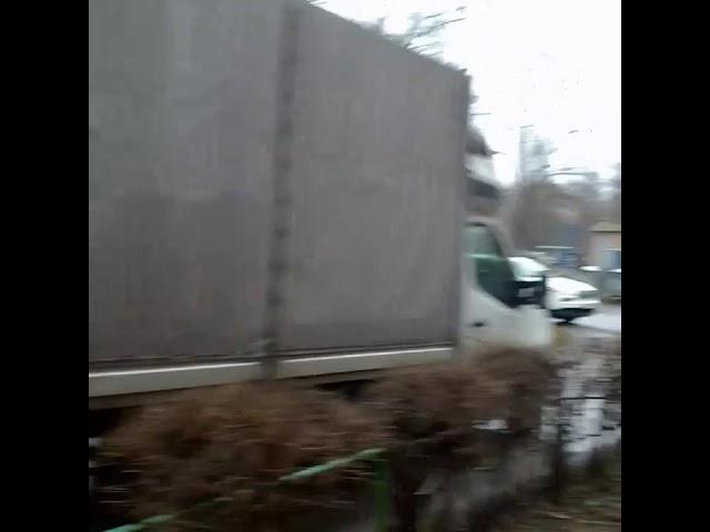 КОМПАНИЯ АЛЬФАТРАНСМАСТЕР УСЛУГИ ПРОФЕССИОНАЛЬНЫХ ГРУЗЧИКОВ БЕЛАЯ ЦЕРКОВЬ