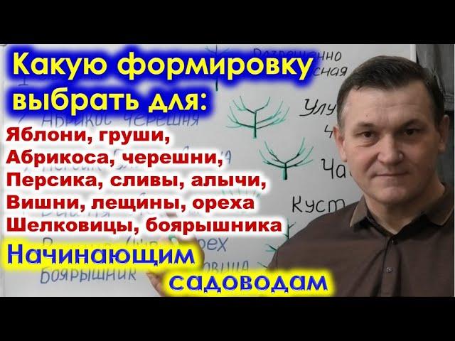 ВЫБОР ФОРМИРОВКИ КРОНЫ разных деревьев для начинающих садоводов