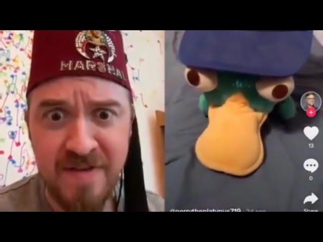 Phineas and Ferb/Gravity Falls crossover?