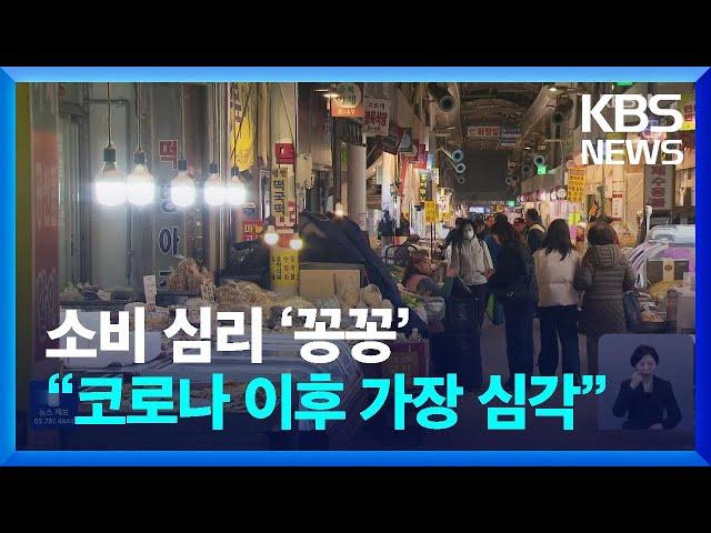 “돈을 안 쓴다”…소비심리, 팬데믹 이후 최대 폭 악화 / KBS  2024.12.25.