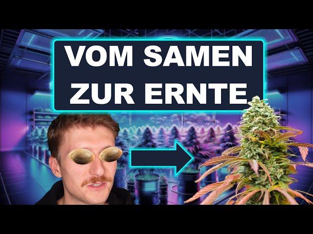 Anfänger-Anbau-Anleitung #Cannabisanbau