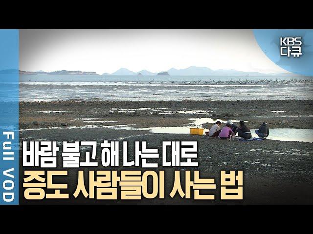 하늘과 땅, 햇볕과 바람! 자연이 주는 선물을 온전히 누리며 사는 증도 사람들. 그들의 질박한 인생 이야기 | KBS 스페셜 - 증도 인생 | KBS 20081130 방송