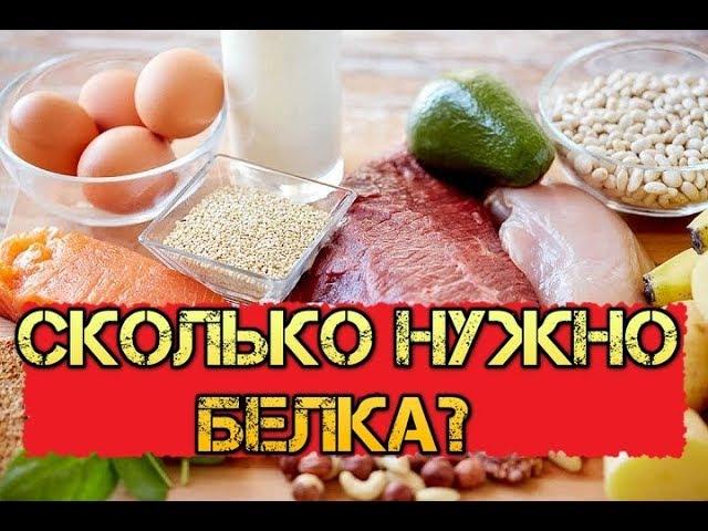 Как набрать норму Белка в день