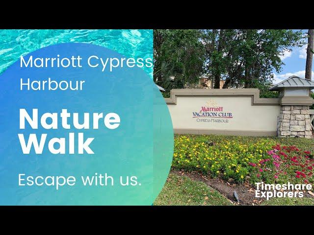 Marriott's Cypress Harbour Nature Walk