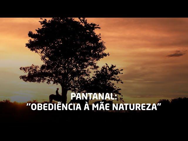 Pantanal: "Obediência à mãe natureza"