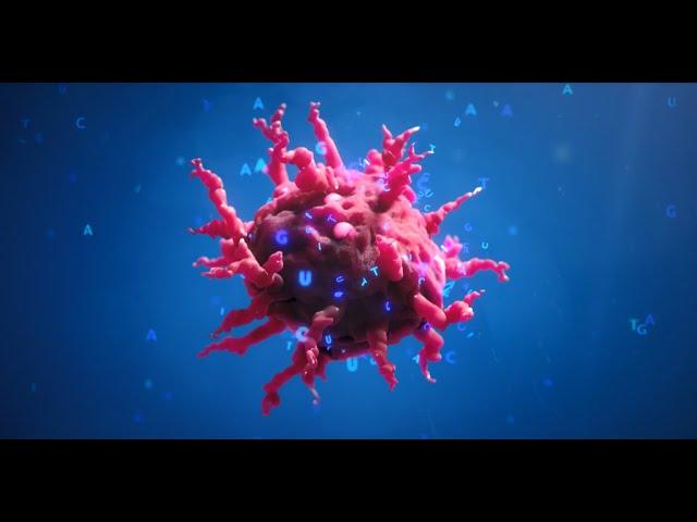 Tissue-Based Comprehensive Molecular Profiling