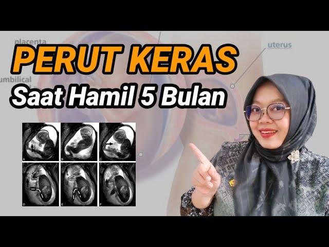 PERUT KERAS SAAT HAMIL 5 BULAN NORMAL ATAU TIDAK YA?