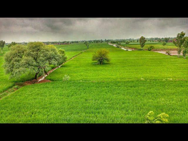 Beauty of Punjab // Beauty of Pakistan // پنجاب پاکستان