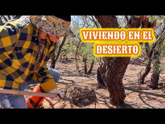 123~ BUSCANDO BUÑIGAASÍ QUEDÓ LA LUZRIEGO DE NOCHE #campo #desert