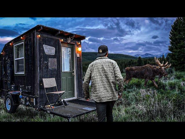 DANGEROUS ENCOUNTER with Moose at the Cabin! | Wyoming