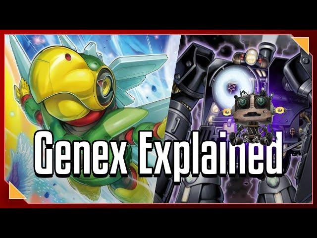 Genex Explained [Yu-Gi-Oh Archetypes & Deckbuilding] (feat. @DarthNash6 )