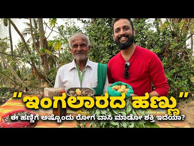 ಇಂಗಲಾರದ ಹಣ್ಣು Do you know this fruit can cure many diseases? | Kannada Vlogs
