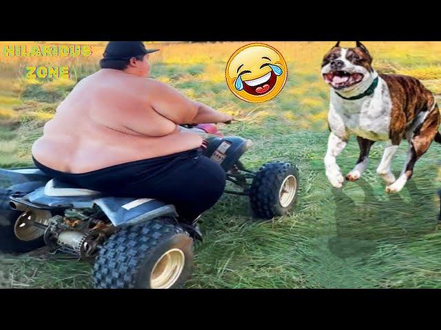 Funny & Hilarious People Life  #76 | TRY NOT TO LAUGH  | Instant Regret Fails Compilation 2024