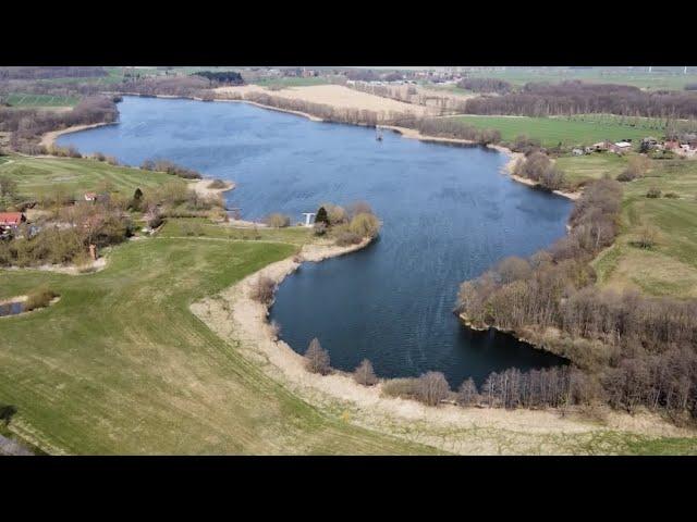 Flora und Fauna am Tressower See