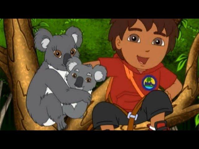 Go, Diego, Go!  - 5x02 - Koala's Birthday Hug [Best Moment Plus ]