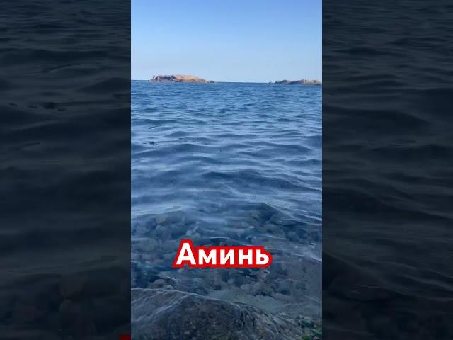 #цитата #мудрость #любовь #мысливслух #мудрыеслова #мысли #люди #психология