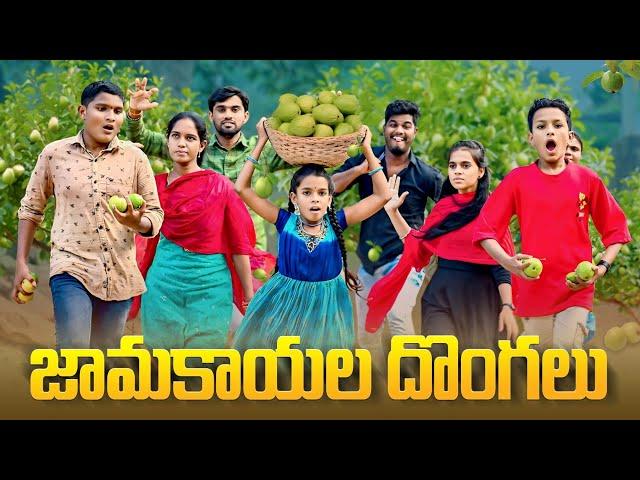 జామకాయ దొంగలు//junnu videos// comedy videos 2024//5 star md//ultimate village comedy