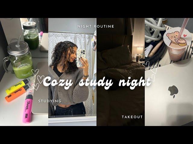 Study vlog ₊˚⊹ | ordering takeout, night routine, cozy weekend inside